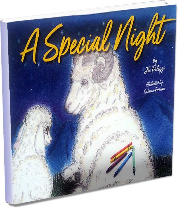 A Special Night coloring book